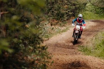 The biker encountered a Pferden vorbei: Stürzt again and wird schwer verletzt