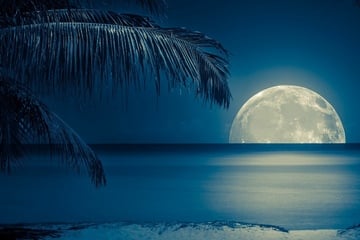 Horoskop heute: Tageshoroskop kostenlos für den 5.8.2025