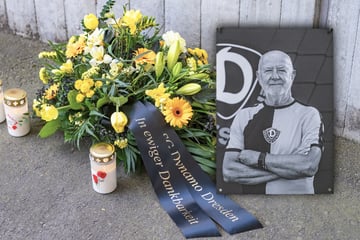 Dynamo-Dresden-Blog: SGD richtet Gedenkort für Hansi Kreische (†78) am Stadion ein