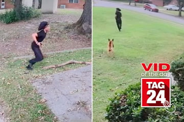 Viral Video of the Day for October 9, 2024: Man caught on Nest camera getting chased by dog: "Are you okay?"