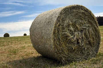 400-Kilo-Heuballen rollt von Anhänger: 18-Jährige erfasst