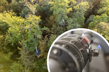 Köln: Für neue Trinkwasserleitung: Umfangreiche Rodungsarbeiten im Kölner Süden geplant