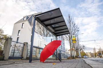 Dresden: Wegen fehlender Seitenwände nicht spritzsicher: Neuer Ärger um Dresdens Haltestellen