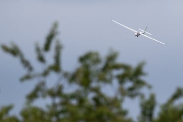 Während Landeanflug: Segelflieger stürzt ab - Pilot kommt ums Leben