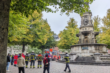 Hamburg: Person klettert auf fünf Meter hohen Hansabrunnen: Etliche Rettungskräfte im Einsatz
