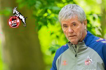 Chaos beim 1. FC Köln: Friedhelm Funkel hat keinen Bock mehr auf den FC!