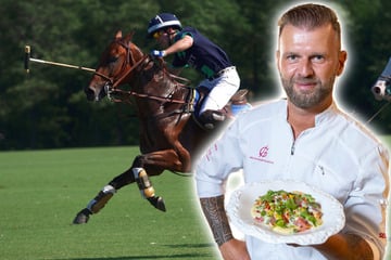 Dresden: Zur Polo-Meisterschaft in Dresden: Koch Elvis packt 250 Kilo Fleisch auf den Grill