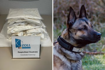 Drogenschmugglerin hat keine Chance gegen die Nase von "Cracker"