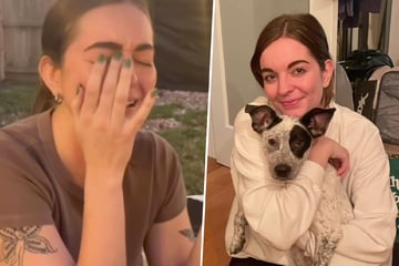 Frau holt Hund aus Tierheim: Jahre später traut sie ihren Augen nicht, was ihr Vor-Besitzer schicken