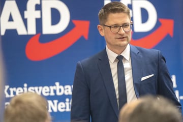 Kommunalwahl in Brandenburg: AfD gewinnt erstmals!
