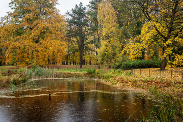 Unbekannte lassen Fischzuchtteich ab: 4000 Tiere in Gefahr