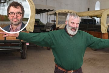 Dresden: Kutscher in Angst! Fahren bald Shuttle-Busse Touristen durch Moritzburg?