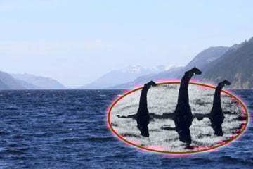 Über 1000 Sichtungen: Monster von Loch Ness soll eine ganze Familie haben!