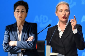 Zoff von Hayali und Weidel eskaliert im Live-TV: "Völlig an den Haaren herbeigezogen"
