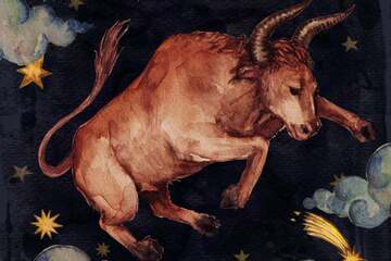 Wochenhoroskop Stier: So wird die nächste Woche vom 24.8. bis 30.8.2026