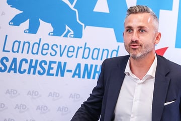 Vor Wahlen in Ostdeutschland: So viele fänden AfD-Ministerpräsidenten gut