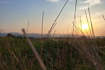 Traumhafte Wetter-Aussichten für das Wochenende in Thüringen!