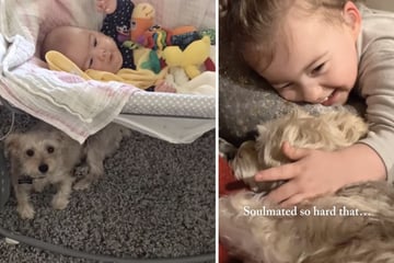 Was der Hund ihrer Tochter nach deren Tod macht, bricht der Mutter das Herz