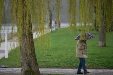 Sturm zieht über Köln: DWD warnt vor ungemütlichem Wochenende