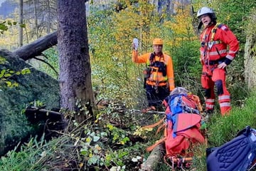 Wanderin gerettet! Bergwacht muss zur Wolfsstiege ausrücken