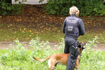 Drei Wochen nach Terroranschlag in Solingen: Polizei sucht erneut nach Beweismitteln