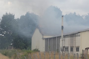 Feuerwehreinsatz in der Altmark: Lagerhalle in Flammen