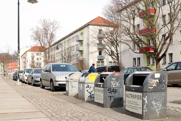 Dresden: Altpapier-Container können bleiben