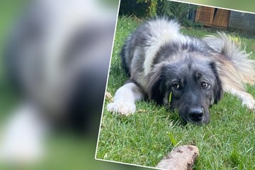 Pure Lebenslust trotz schlimmem Autounfall: Cathy träumt sehnlichst von neuem Zuhause