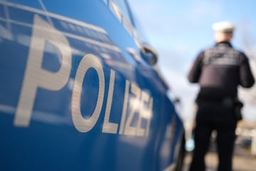 Seniorin (†77) an Ampel von 40-Tonner erfasst - Polizei bittet um Mithilfe