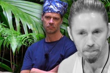 Dschungelcamp: Schlimm, schlimmer, Gil Ofarim: "Dieser Hass, diese Anti-Haltung: Hätte ich nicht gedacht"
