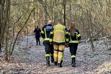 Hoppelt ein Känguru durchs Havelland? Feuerwehr und Polizei gehen Hinweis nach