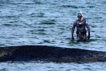 Influencer Robert Marc Lehmann: Plötzlich ist sein Instagram-Profil verschwunden