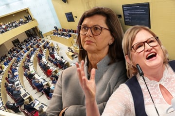 Eklat im Landtag: AfD-Rede führt zu "Tumulten"