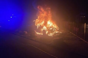 Feuerteufel-Streifzug! Schon wieder brennt ein Auto im Harz