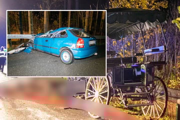Horror-Unfall in Mittelsachsen: Drei Schwerverletzte, ein Pferd gestorben