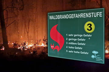 Winter gerade erst vorbei und schon erhöhte Waldbrandgefahr in Brandenburg