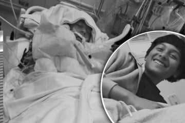 Junge (†12) stirbt nach der Flucht vor mehreren bissigen Hunden in einem See