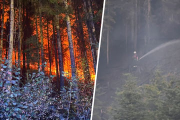 15 bis 20 Hektar abgefackelt: Waldbrand in Schramberg unter Kontrolle