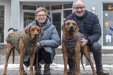 Wuff! Ich bin die Maßschneiderin der Hunde