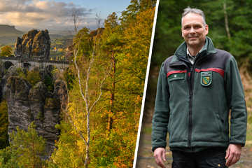 Ein gebürtiger Dresdner wird neuer Chef des Nationalparks Sächsische Schweiz!