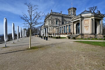 Dresden: Lingner-Millionäre starten PR-Offensive im Netz