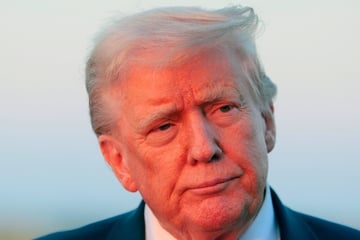 Trump blamed after parts of Constitution removed from government website