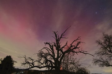 Stuttgart: Naturschauspiel zu Neujahr: Polarlichter erhellen Himmel