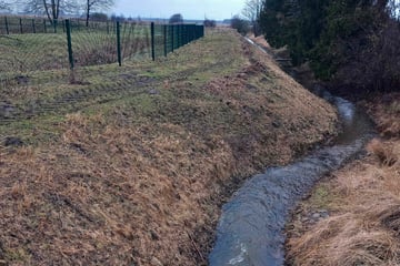 Tragischer Unfall: Mann ertrinkt in winzigem Bach