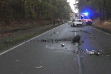Riskantes Überholmanöver: Mini Cooper schleudert gegen Pferdeanhänger
