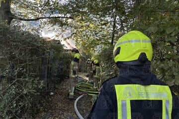 Berlin: Müllhaus brennt in Siemensstadt: Dachstuhl stürzt ein