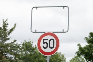 Jugendliche wollen Ortsschild aus Spaß klauen und erleben böse Überraschung