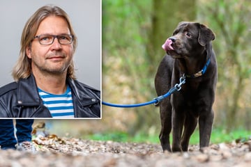 Steigende Hundesteuer in Sachsen: Kommentar zum teuren Freund