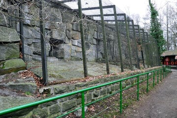 Chemnitz: Historische Bärenanlage im Chemnitzer Tierpark wiederbelebt: Neue Bewohner eingezogen