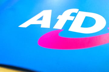 Bayerns Verfassungsschutz warnt vor AfD-Vernetzung mit Rechtsextremisten!